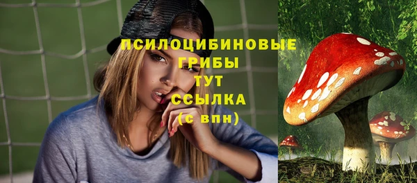 дживик Богородицк