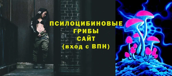 дживик Богородицк