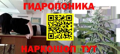 сатива Рузаевка