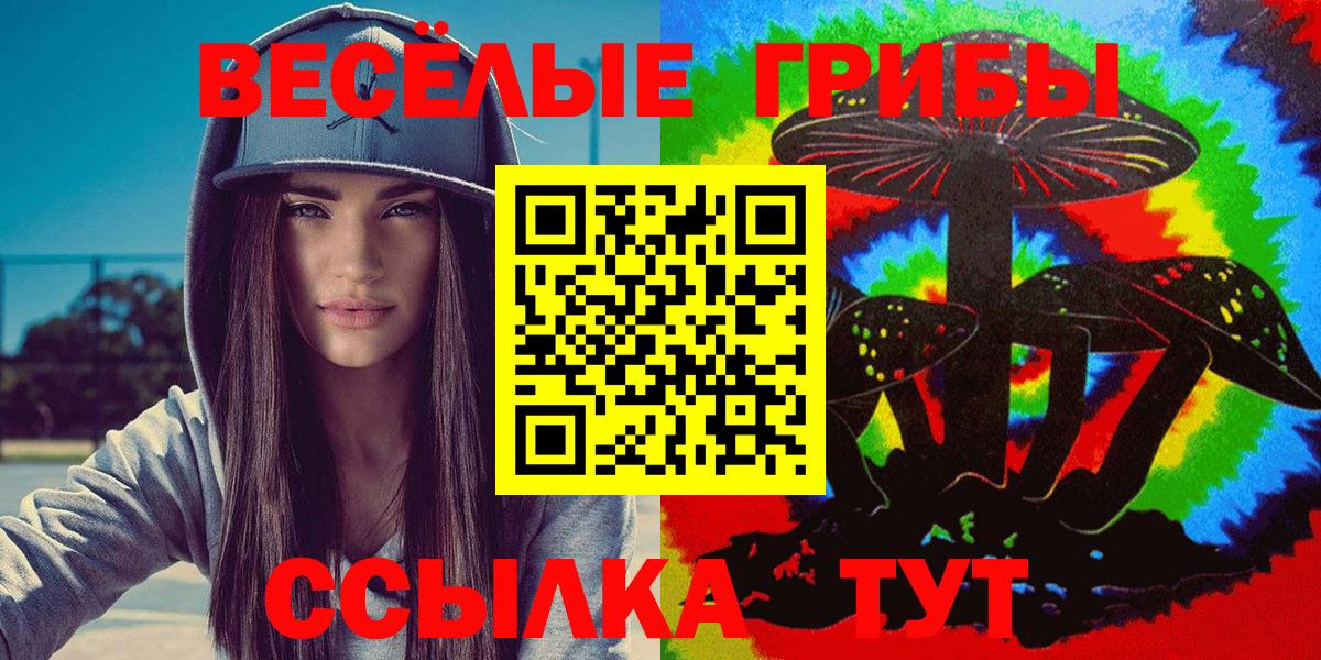 Псилоцибиновые грибы Psilocybine cubensis Сердобск